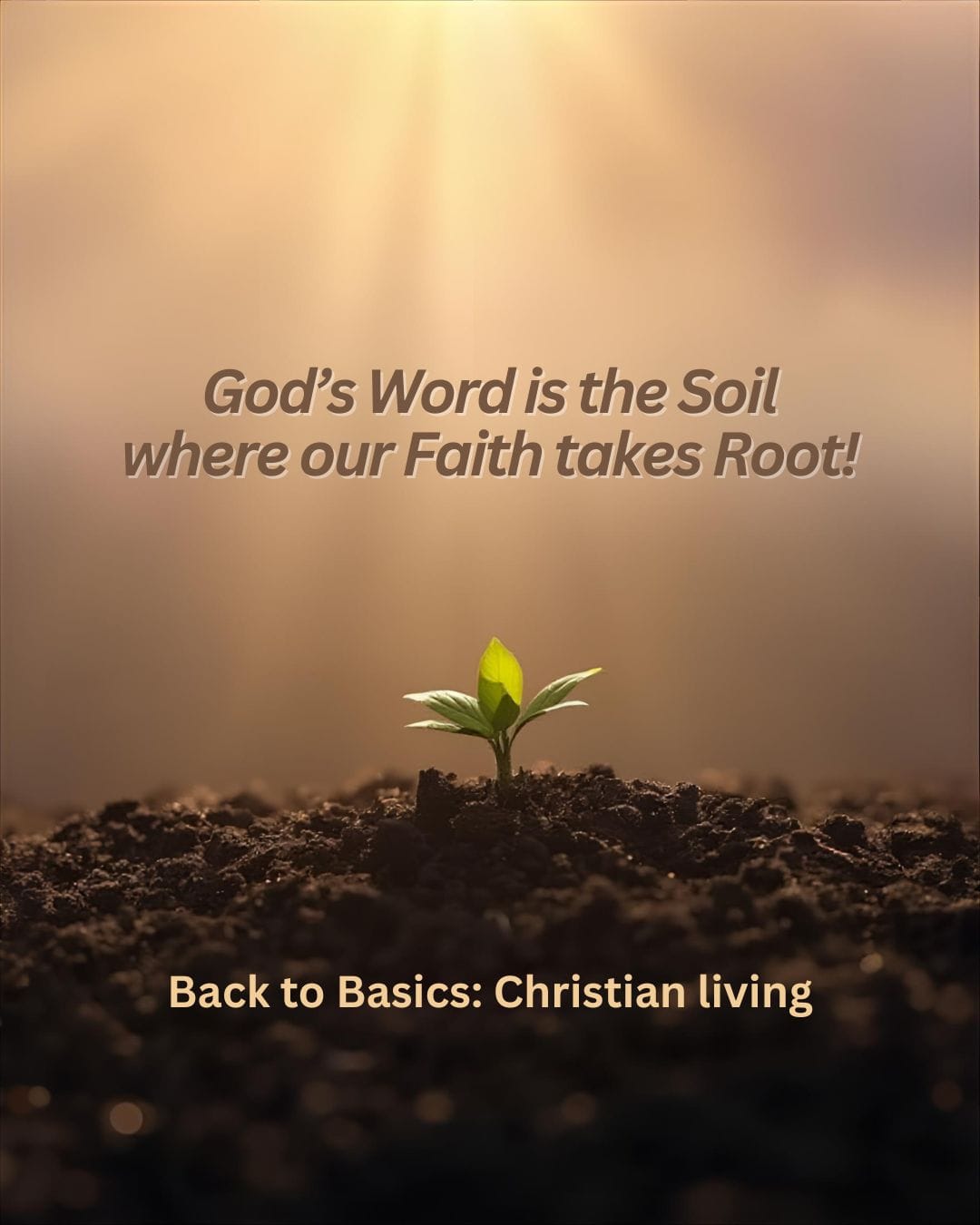 God's Word is the Soil where our Faith takes Root!
