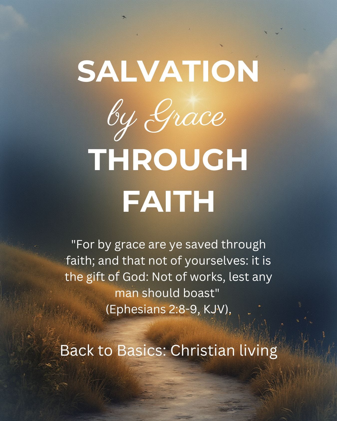 Salvation by Grace Through Faith!