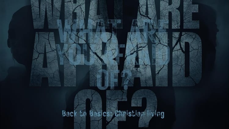 What Are You Afraid Of?